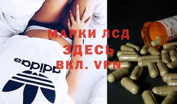 спиды Алзамай