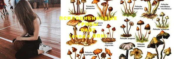 спиды Алзамай